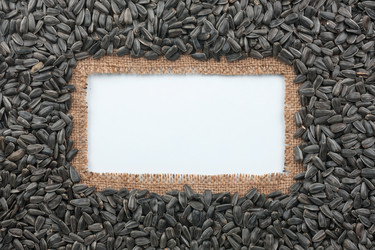 Similar image 21866960