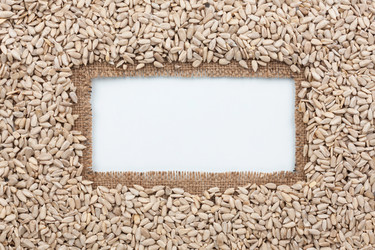 Similar image 21866961