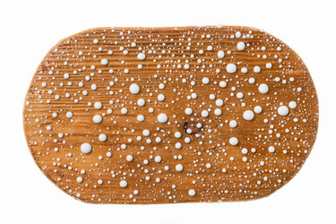 Similar image 21866962