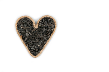 Similar image 21866979