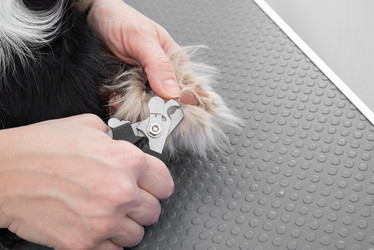 Similar image 21868441