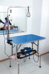 Similar image 21868443