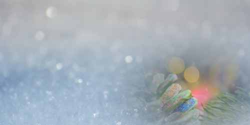 Similar image 21868554