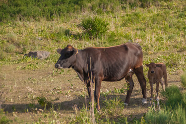 Similar image 21868569