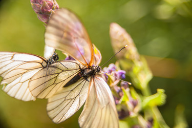 Similar image 21868889