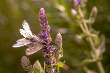 Similar image 21868890