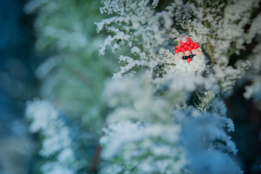 Similar image 21868892