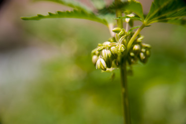 Similar image 21868893