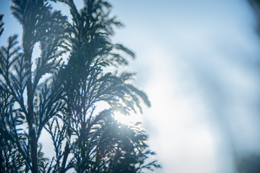 Similar image 21868896