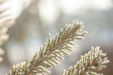 Similar image 21868899