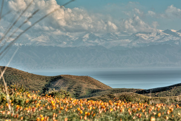 Similar image 21868902