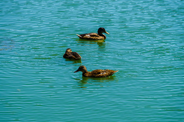 Similar image 21874125