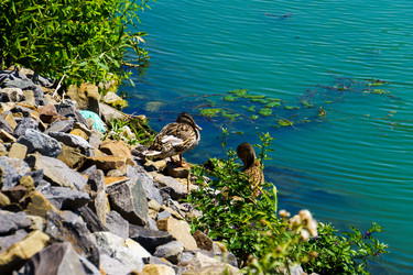 Similar image 21874126