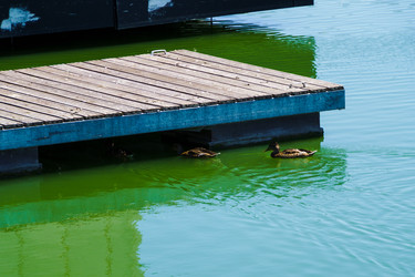 Similar image 21874127