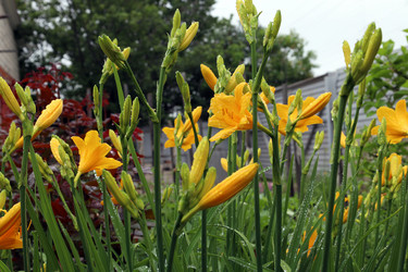 Similar image 21867447