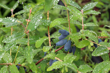 Similar image 21867450