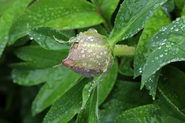 Similar image 21867451