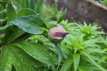 Similar image 21867452