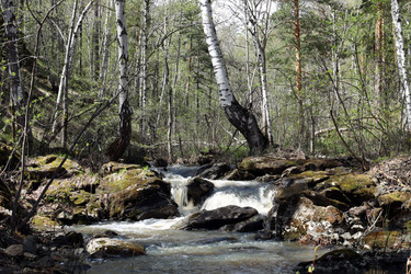 Similar image 21867454