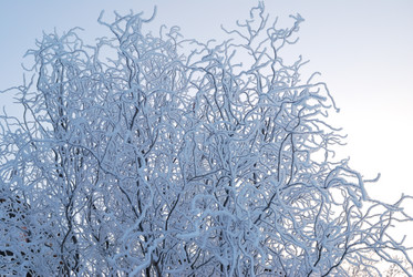 Similar image 21868575