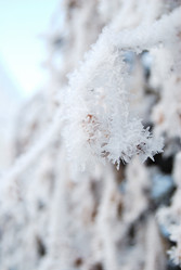 Similar image 21868576