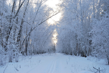 Similar image 21868578