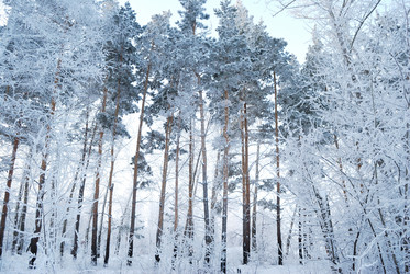 Similar image 21868579