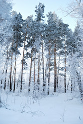 Similar image 21868580