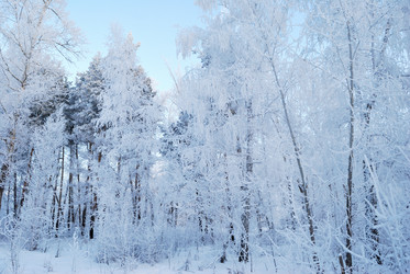 Similar image 21868581