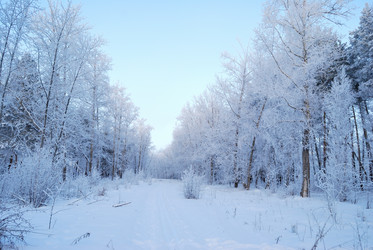 Similar image 21868582