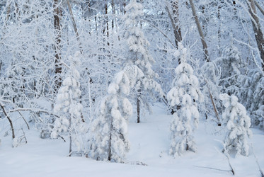 Similar image 21868583