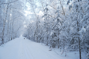 Similar image 21868591