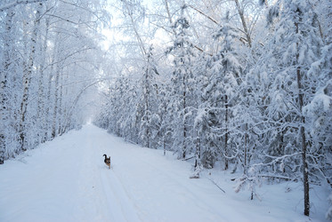 Similar image 21868592