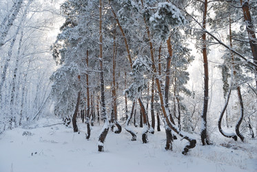 Similar image 21868593