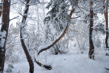 Similar image 21868594