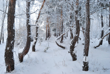 Similar image 21868597