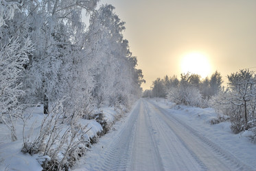 Similar image 21868599