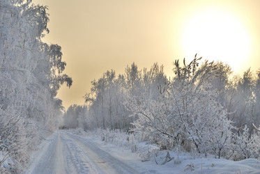 Similar image 21868600