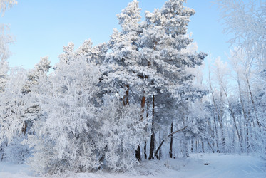 Similar image 21868601