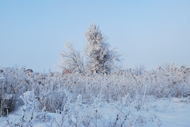 Similar image 21868603