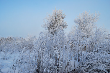 Similar image 21868604