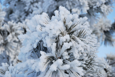 Similar image 21868606