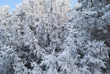 Similar image 21868607