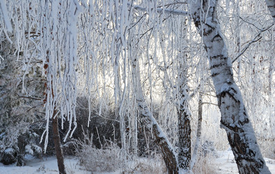 Similar image 21868611