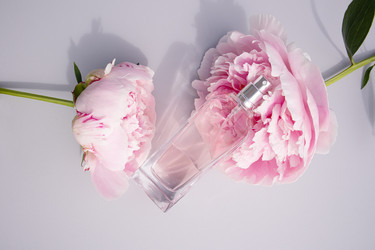 Similar image 21868619