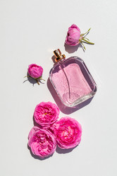 Similar image 21868635