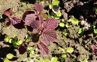 Similar image 21868444