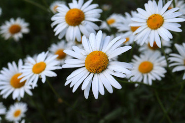 Similar image 21868445