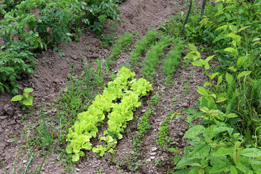 Similar image 21868448