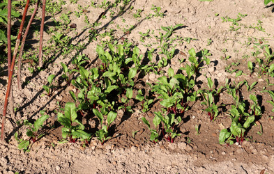 Similar image 21868449